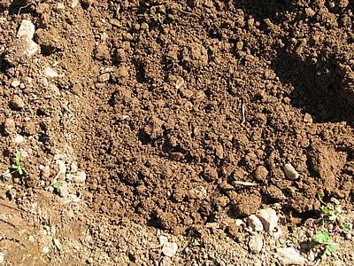 Cover the compost with soil