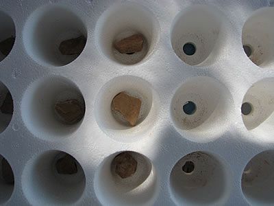 Place a small rock above each speedling tray seed starter holes
