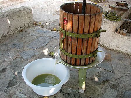 Must for white wine - Grapes press