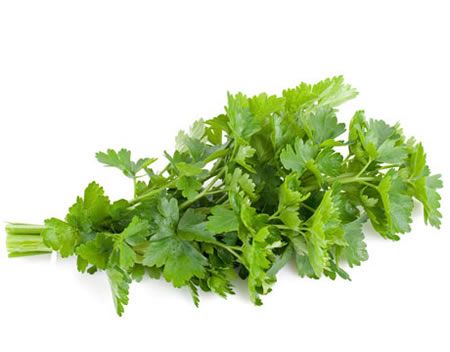 parsley in pot