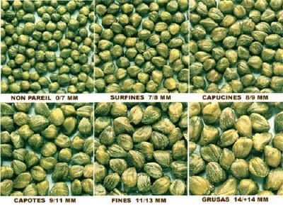 Categories of capers sizes