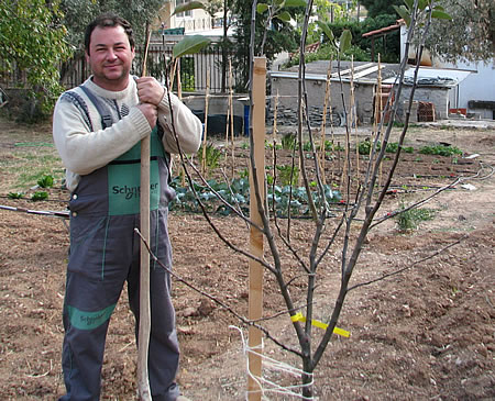 Gardener Ilias Antonopoulos planting a tree