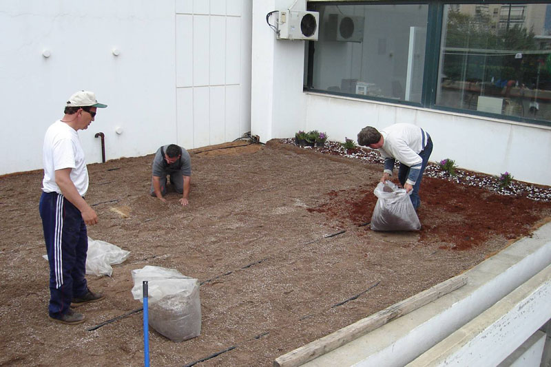 Preparations have been completed on the roof and the substrate for plant growth is being placed