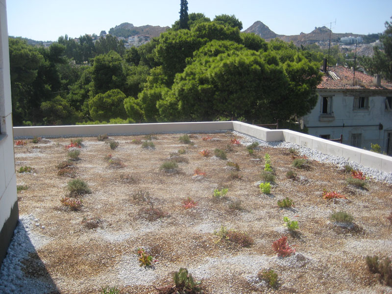 green roof 5