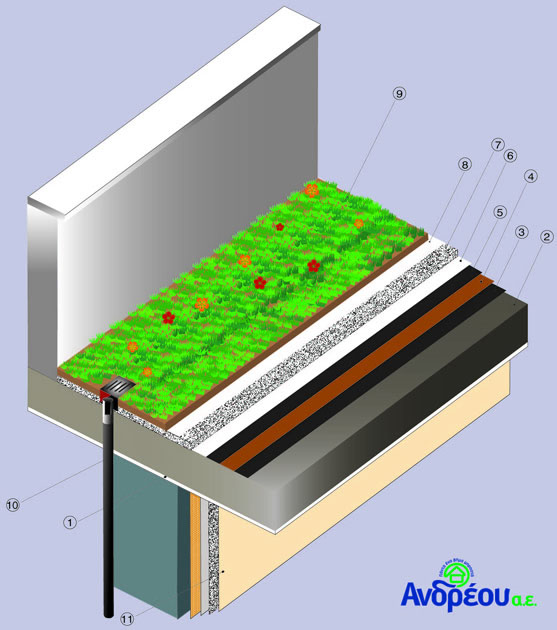 Green roof section