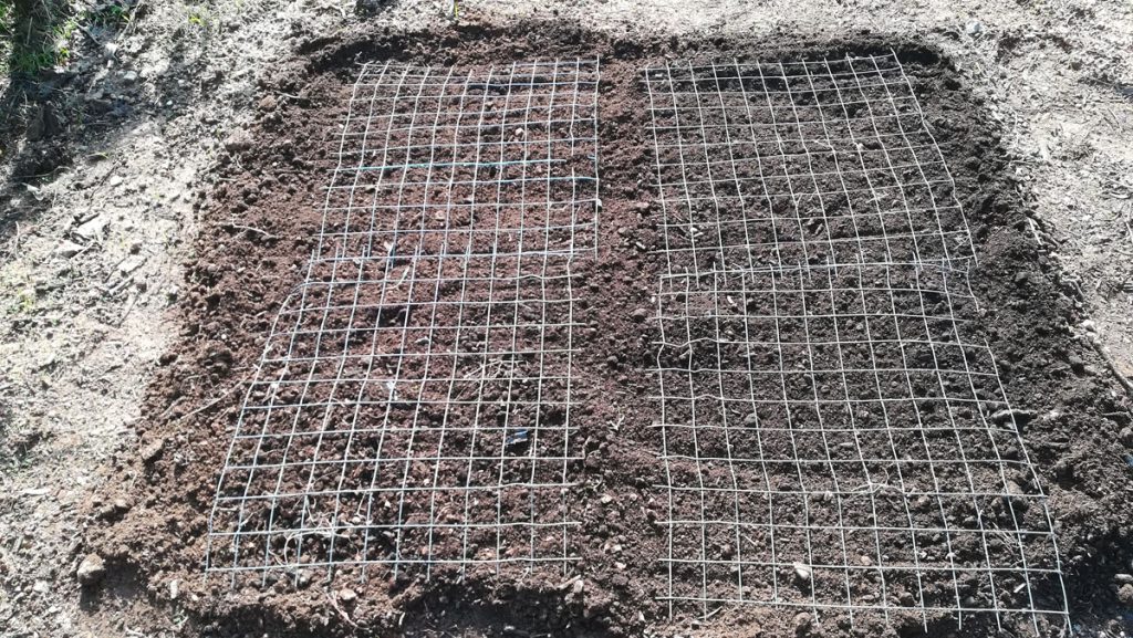 Protection from cats with metal mesh, after planting new seeds