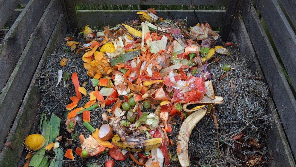 Πόσα φυτικά υλικά πετάμε στα σκουπίδια κάθε μέρα