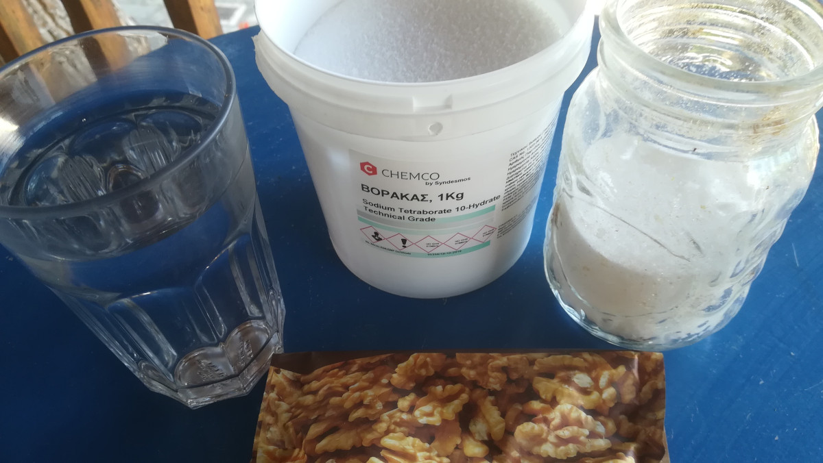 Get rid of Ants with Borax in Garden and Home. Recipe and Application