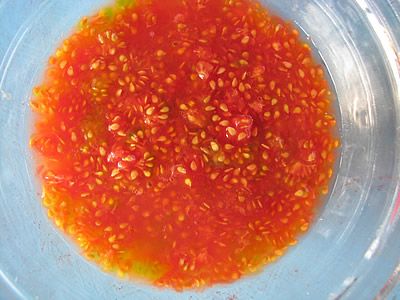 Μέσα στο ζωμό ντομάτας, προσθέτω μισό ποτήρι νερό και ανακατεύω