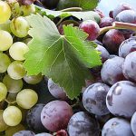 Πως Φτιάχνω Μούστο Πως Φτιάχνω Μούστο