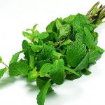 Δυόσμος σε Γλάστρα