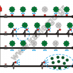 Αυτόματο Πότισμα για τον Κήπο - Συμβουλές και Οδηγίες Αυτόματο Πότισμα για τον Κήπο - Συμβουλές και Οδηγίες