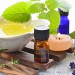 Αρωματικά και Φαρμακευτικά Φυτά: 6 βήματα για πετυχημένη καλλιέργεια και προώθηση!