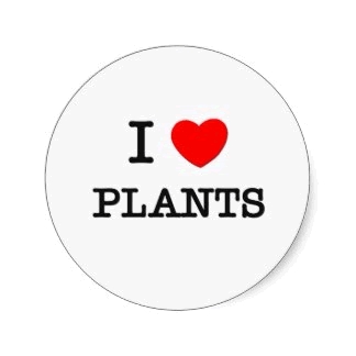 Πόσο Εξαρτόμαστε Από Τα Φυτά
