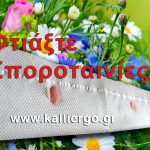 Σποροταινίες! Τι Είναι; Πως τις Φτιάχνω; Που Χρησιμεύουν;