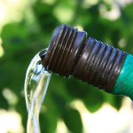 Πότισμα Φυτών – Πότε και Πως Ποτίζουμε τα Φυτά στον Κήπο μας