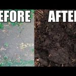 Εντυπωσιακή αλλαγή στην ποιότητα του χώματος με τη βοήθεια wood chips Εντυπωσιακή αλλαγή στην ποιότητα του χώματος με τη βοήθεια wood chips