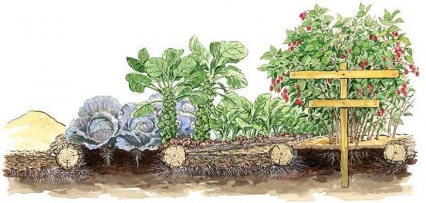 Χρήση Wood Chips στον Κήπο (θρυμματισμένου ξύλου) για την Βελτίωση του