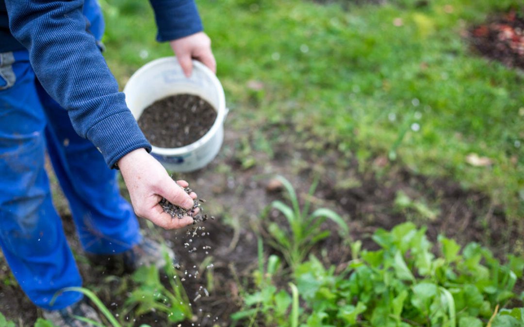 Πότε Ρίχνω Λίπασμα σε Δέντρα και Λαχανικά