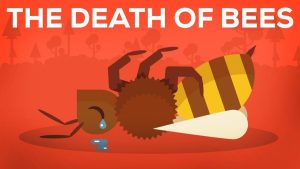 The death of bees