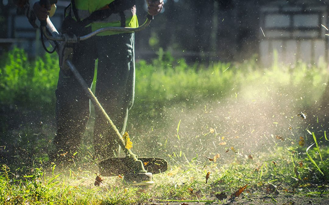 Μεσινέζα για χορτοκοπτικό. Τύποι και Χρήσεις. Πως να επιλέξω το κατάλληλο σχήμα