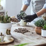 Ιδέες για να αξιοποιήσει το Internet ένα φυτώριο, γεωπονικό κατάστημα, κέντρο κήπου