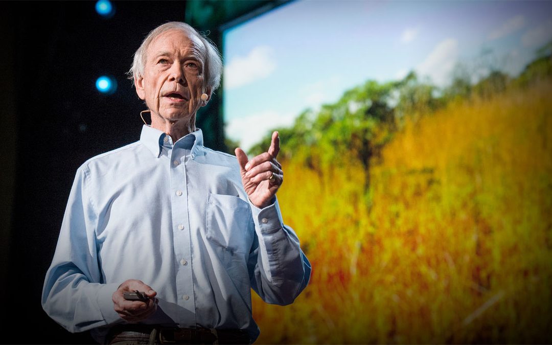 Λογαριασμός ΔΕΗ – CO2 – Ερημοποίηση – Κλιματική Αλλαγή – Κοπριά. Τι σχέση έχουν;