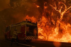 Αυστραλός πυροσβέστης σε μία άνιση μάχη με την φωτιά. Στα δεξιά ένας φλεγόμενος ευκάλυπτος