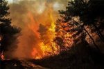 Εναέρια πυρκαγιά στο δάσος της Στροφιλιάς to 2019