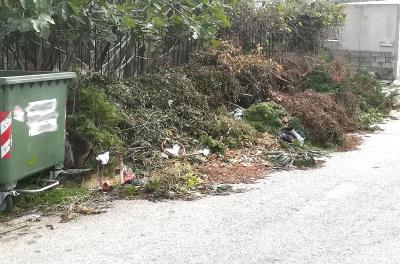 klademata giati 2020 03 06