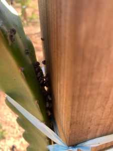 saligaria christoforos 2022 03 29 02