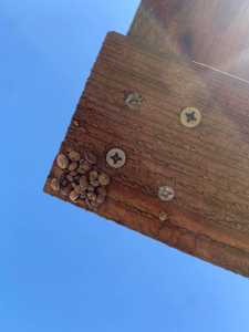 saligaria christoforos 2022 03 29 04