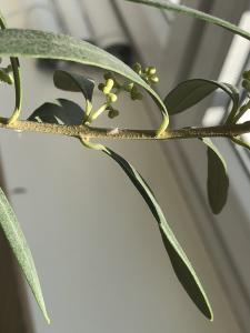 22B70A7C 8EFE 44E4 A7BF 77E61C1AC59D 22B70A7C 8EFE 44E4 A7BF 77E61C1AC59D