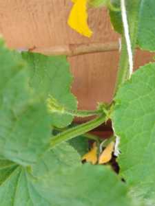 IMG 20210613 105854 IMG 20210613 105854