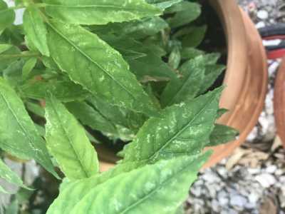 EC8B0BA2 47C2 4661 A5DB D1563E5EFB5F EC8B0BA2 47C2 4661 A5DB D1563E5EFB5F