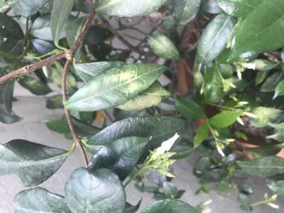 68D23C0C 5C84 411C BC48 61B7F447DCA9 68D23C0C 5C84 411C BC48 61B7F447DCA9