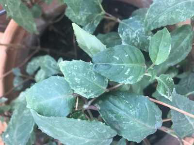 B2FC1F93 7A2D 4659 9D5D FF1932DB5D25 B2FC1F93 7A2D 4659 9D5D FF1932DB5D25