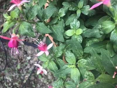 938EC669 F8E2 4C65 AC61 B6BCE40580BC 938EC669 F8E2 4C65 AC61 B6BCE40580BC