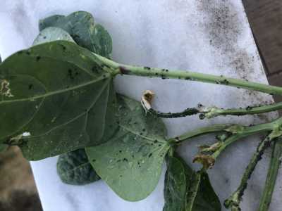 E9340ED0 F815 4AC5 B7E5 4E30276A7E29 E9340ED0 F815 4AC5 B7E5 4E30276A7E29