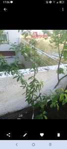 Screenshot 2021 06 20 17 26 06 646 Screenshot 2021 06 20 17 26 06 646