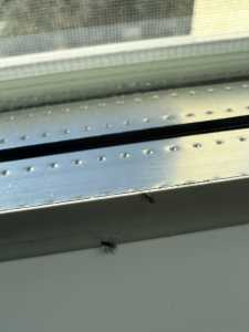 744468CE 40AC 4F66 9DFC 72AFE704FD57 744468CE 40AC 4F66 9DFC 72AFE704FD57