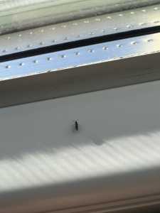 6E3A6D48 E1EA 438F B4C8 A79B7DD9DE5B 6E3A6D48 E1EA 438F B4C8 A79B7DD9DE5B