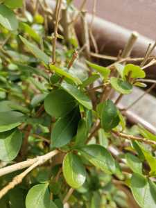 IMG 20220130 120830 IMG 20220130 120830