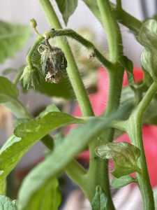 03F72BE9 C598 4D32 BC80 38EE5D5AB6F5