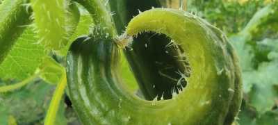 IMG 20220704 195812 IMG 20220704 195812