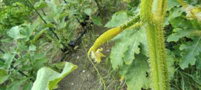 IMG 20220704 195749 IMG 20220704 195749