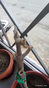 342710957 236073109018588 7148358738908023626 n 342710957 236073109018588 7148358738908023626 n