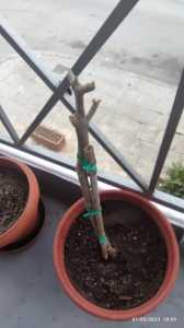 341977438 623908239776198 3000993497036215120 n 341977438 623908239776198 3000993497036215120 n