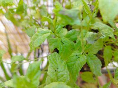 0 02 05 8dffd79b27fc5fb752a68c71d996a85d608e834ac8b5b77b3f57dd4fc38123c2 6df014f765d68606