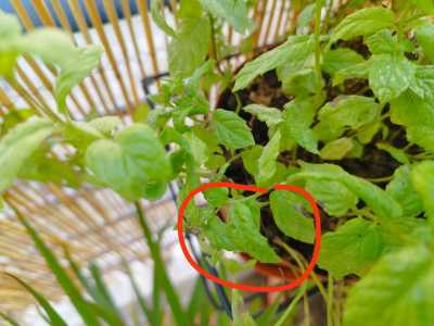 0 02 05 24e1636f1f93303f51db23707a63df0d3439f808978d2bcf8fef97a5322837df 7283f6ab05113a8b